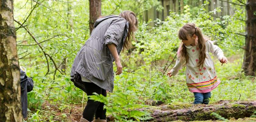 Child balances on a fallen log while an adult watches and steps nearby, surrounded by dense green forest undergrowth and trees during outdoor exploration.