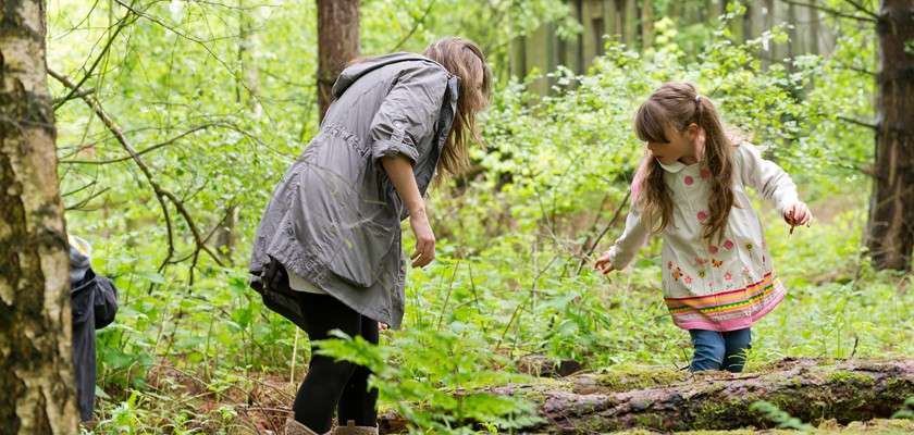 Two people—an adult and a child—balance on a fallen log, examining the ground, within a lush green forest of young trees and ferns, with a wooden fence faintly visible behind.