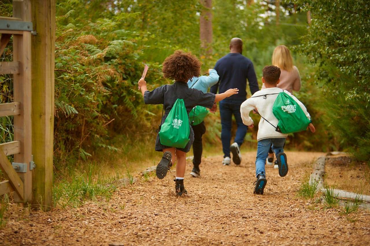 FOREST DISCOVERY TRAIL 14