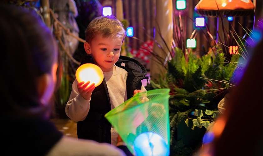 A boy doing the Wishlight Quest.