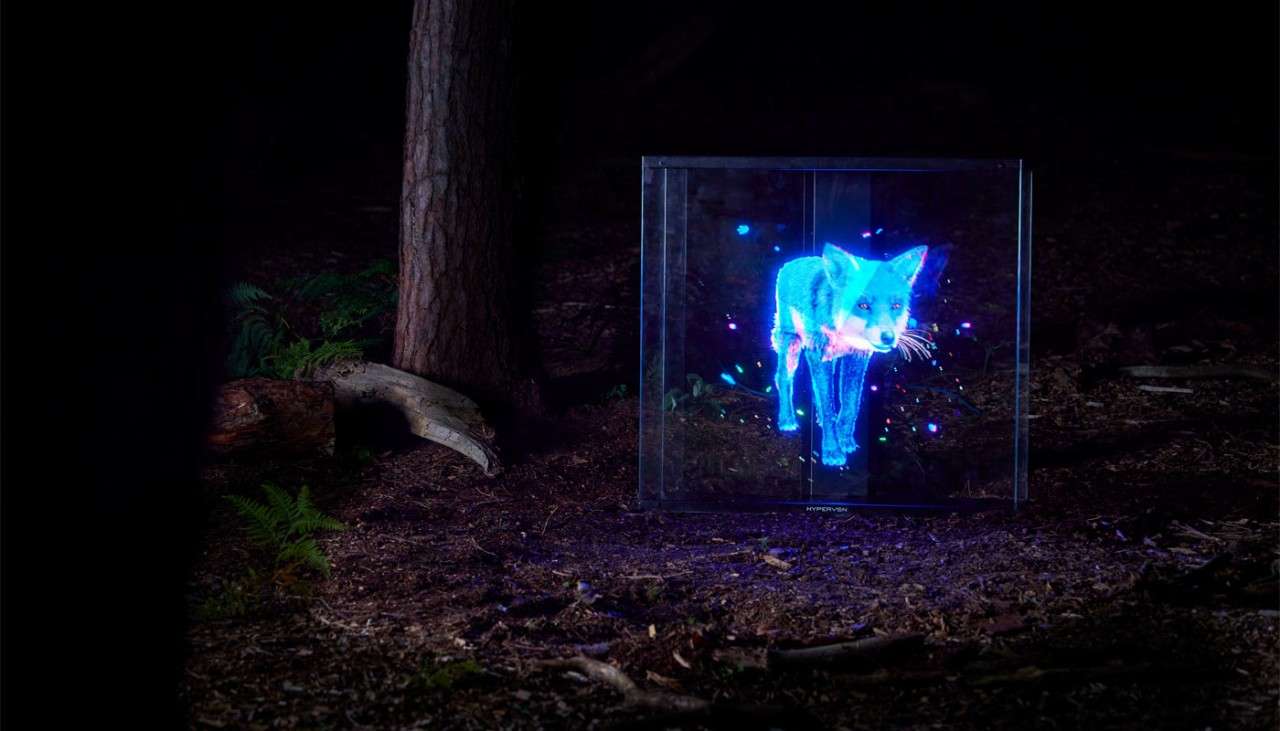 Holographic fox in a dark wood