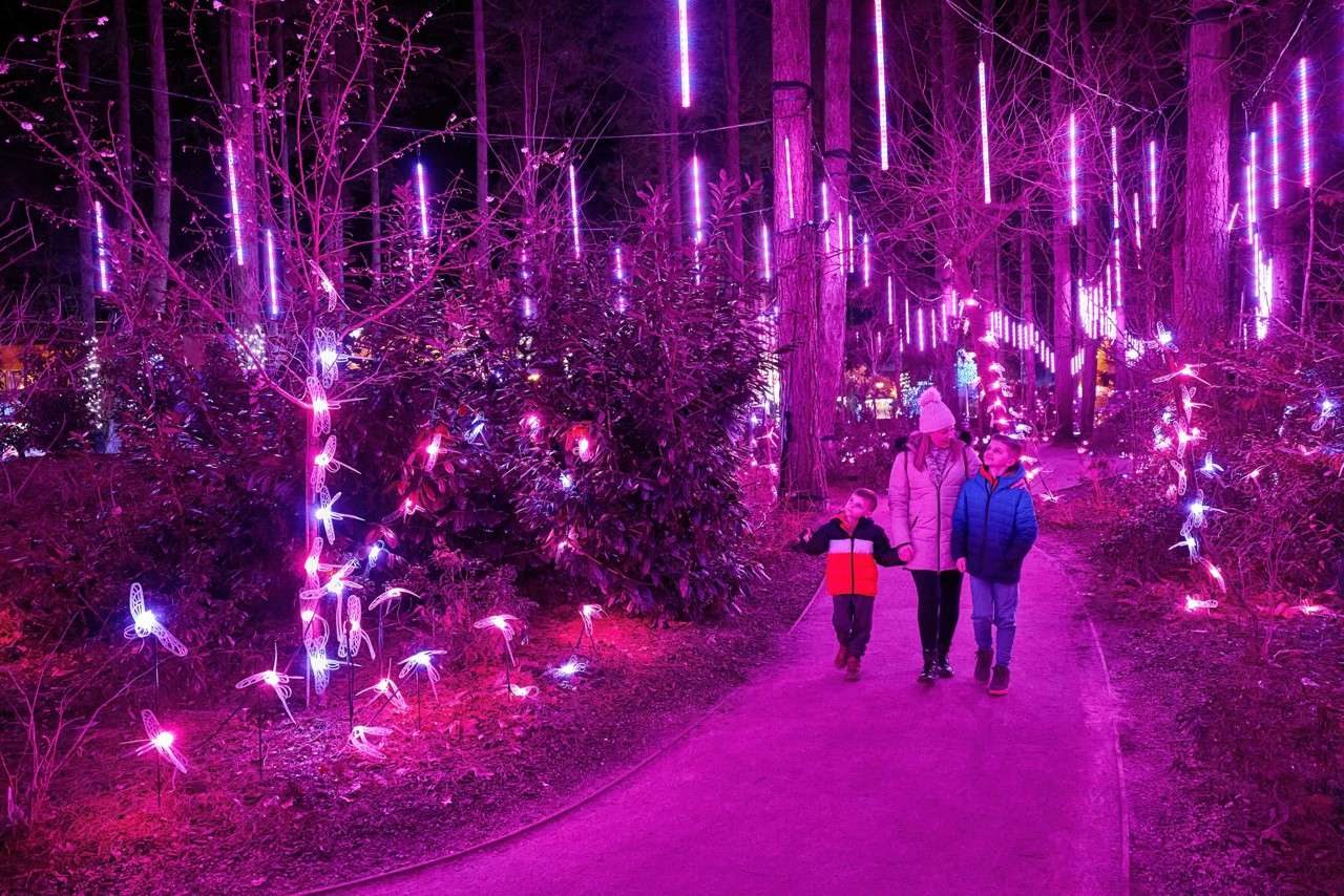 Family walking along the Enchanted Light Garden.
