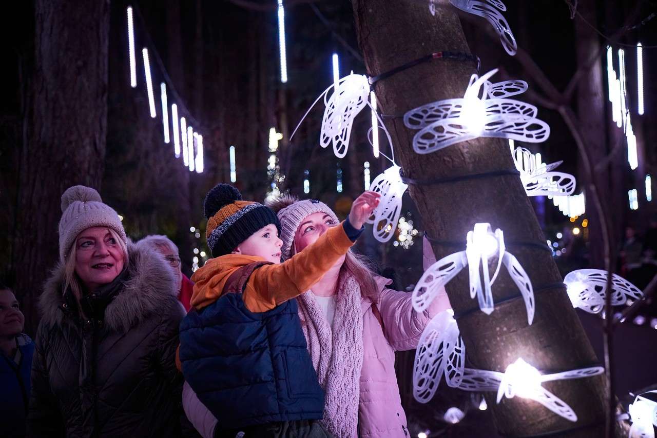 Family looking at Christmas lights.