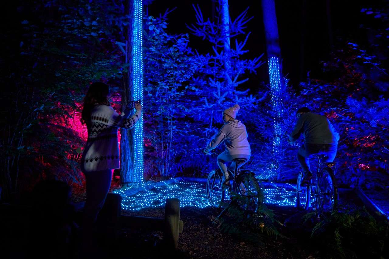 Family cycling to power lights in the forest.