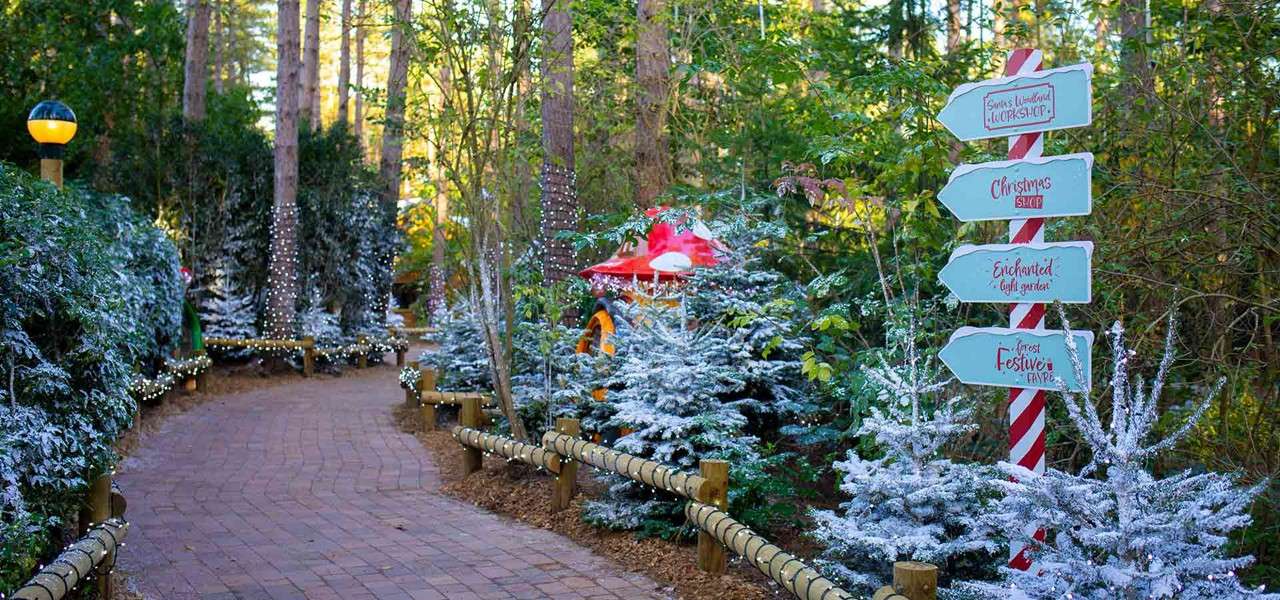 Curving brick path winds through a festive forest, bordered by frosted evergreens and string lights; a candy-cane-striped signpost points to attractions.

Text: “Santa’s Woodland Workshop”, “Christmas Shop”, “Enchanted Gift Garden”, “Forest Festive Fayre.”