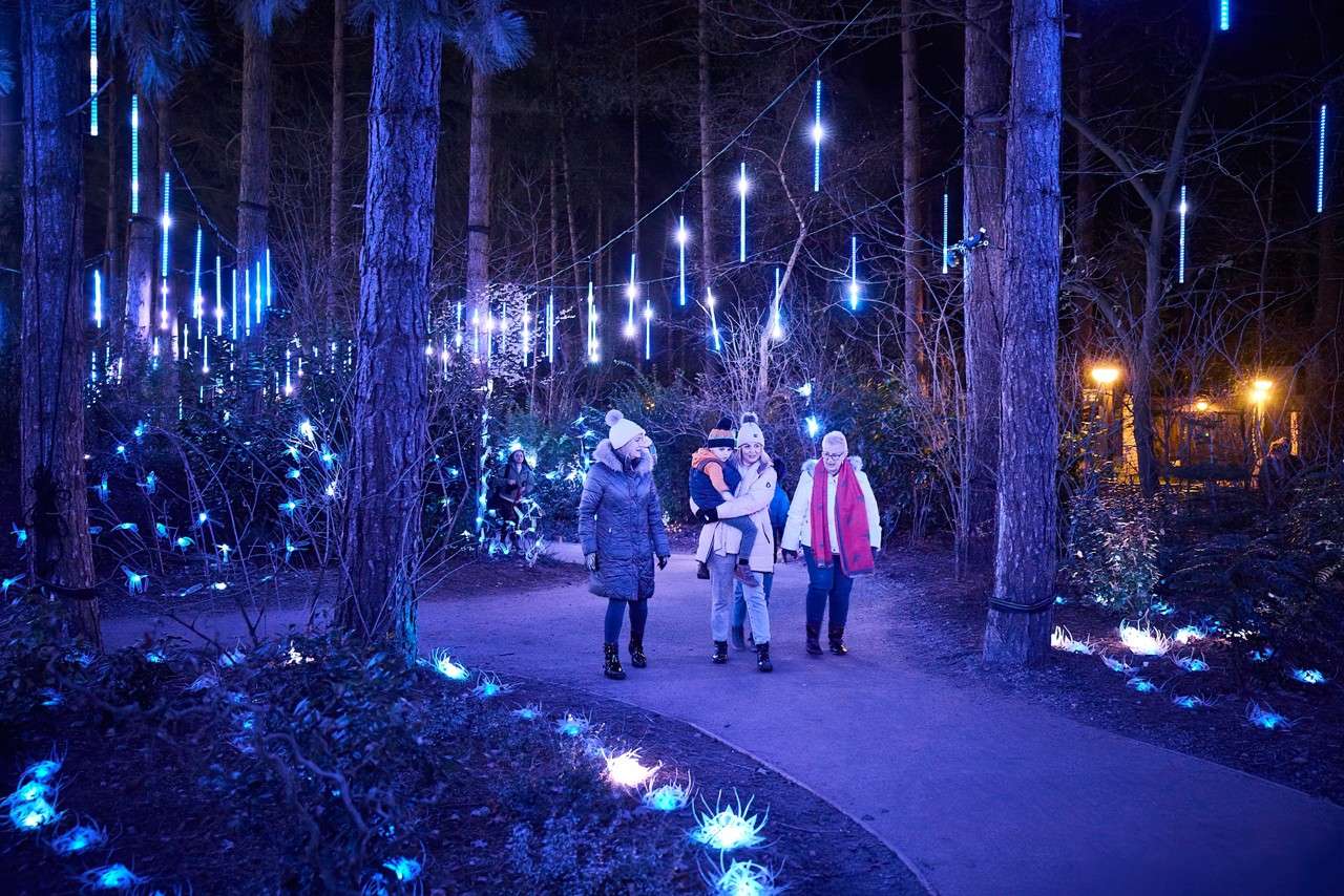 SF WWL - Enchanted Light Garden