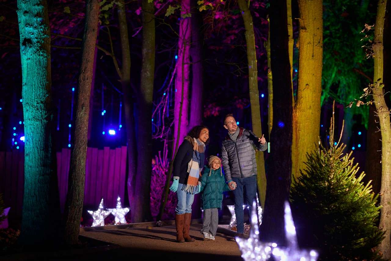 Family walking through the Enchanted Light Garden.