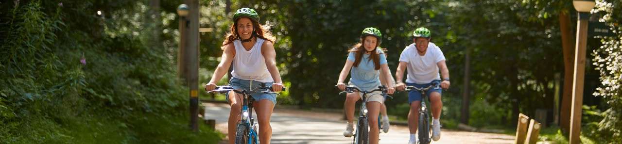 Family riding bikes down a road in the forest