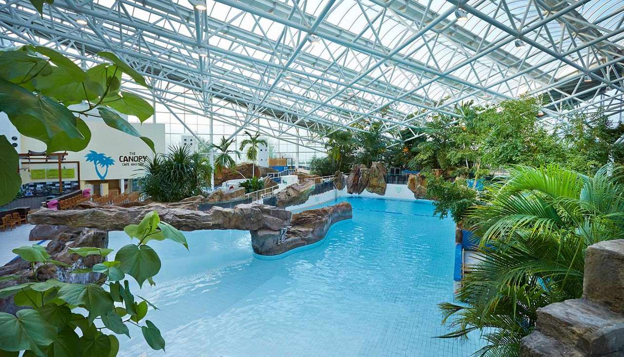 Indoor pool surrounded by tropical plants.