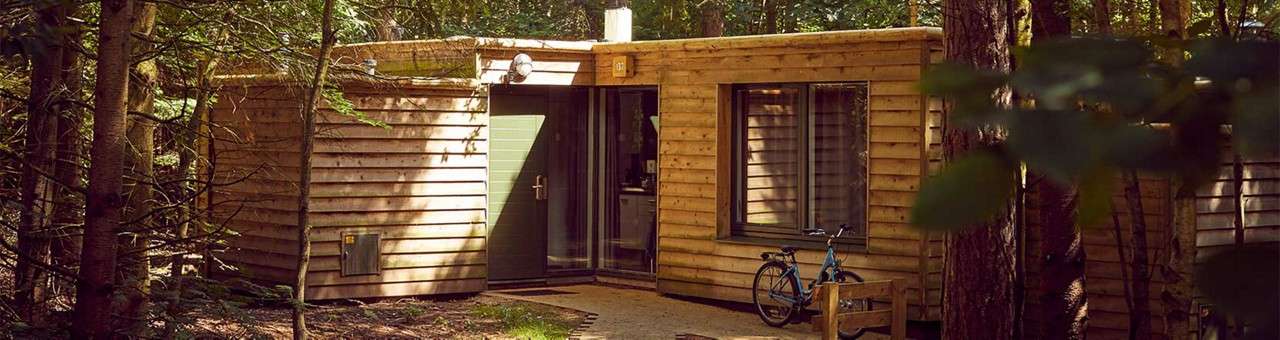 Wooden cabin stands quietly, front door and large window facing a shaded path; a bicycle leans against the wall. Surrounded by dense forest. Small sign above the entrance reads “31”.