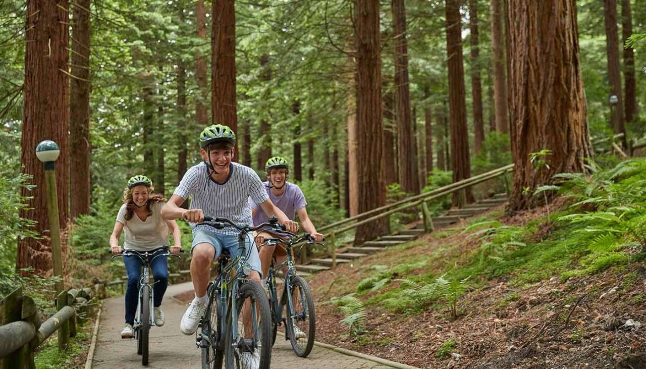 Teenagers cycling through the forest paths with their mother