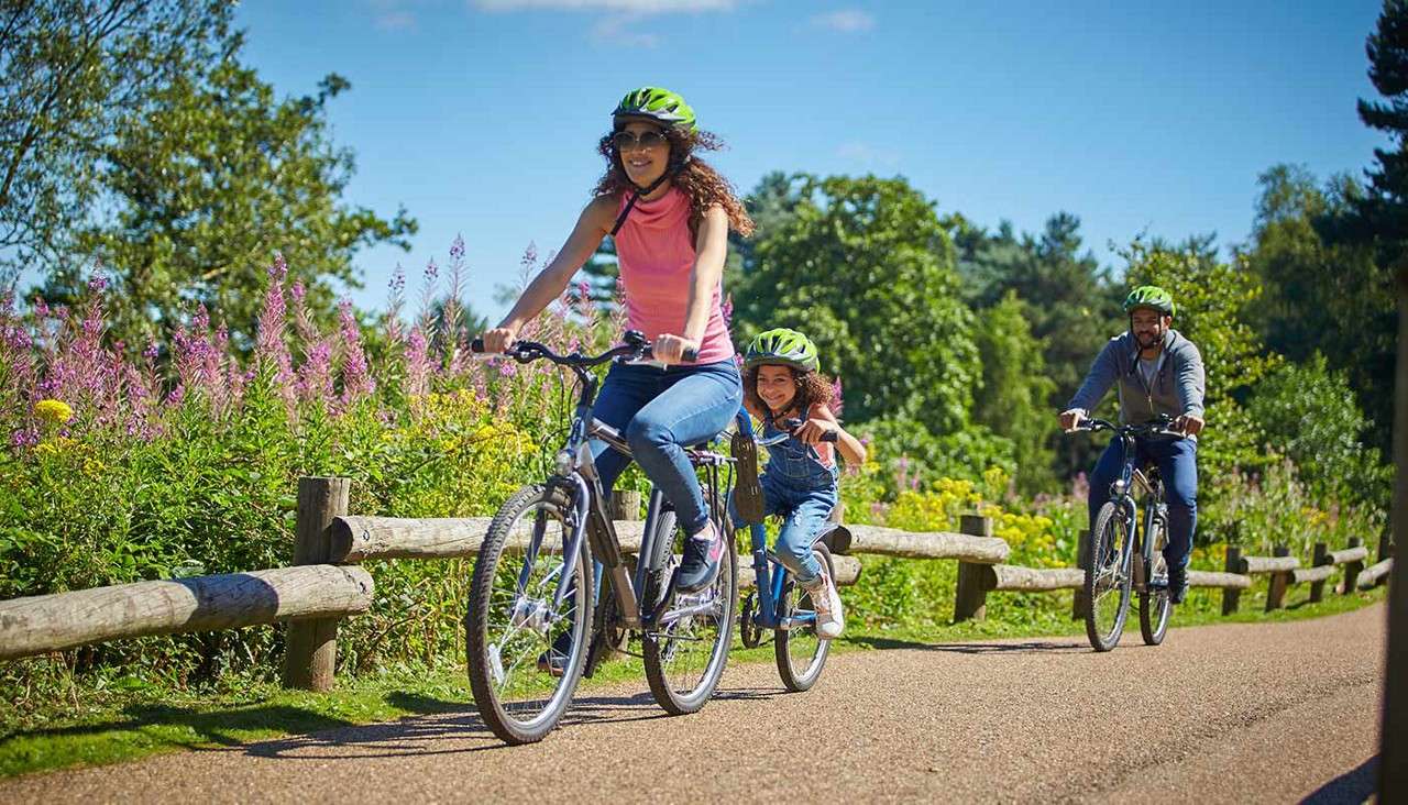 Family on a bicycle ride