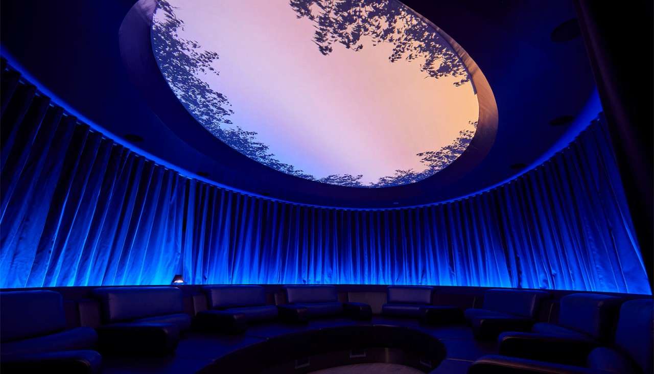 Curved room with a window in the ceiling showing views of the forest.