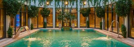 Outdoor courtyard pool with lots of hanging plants.