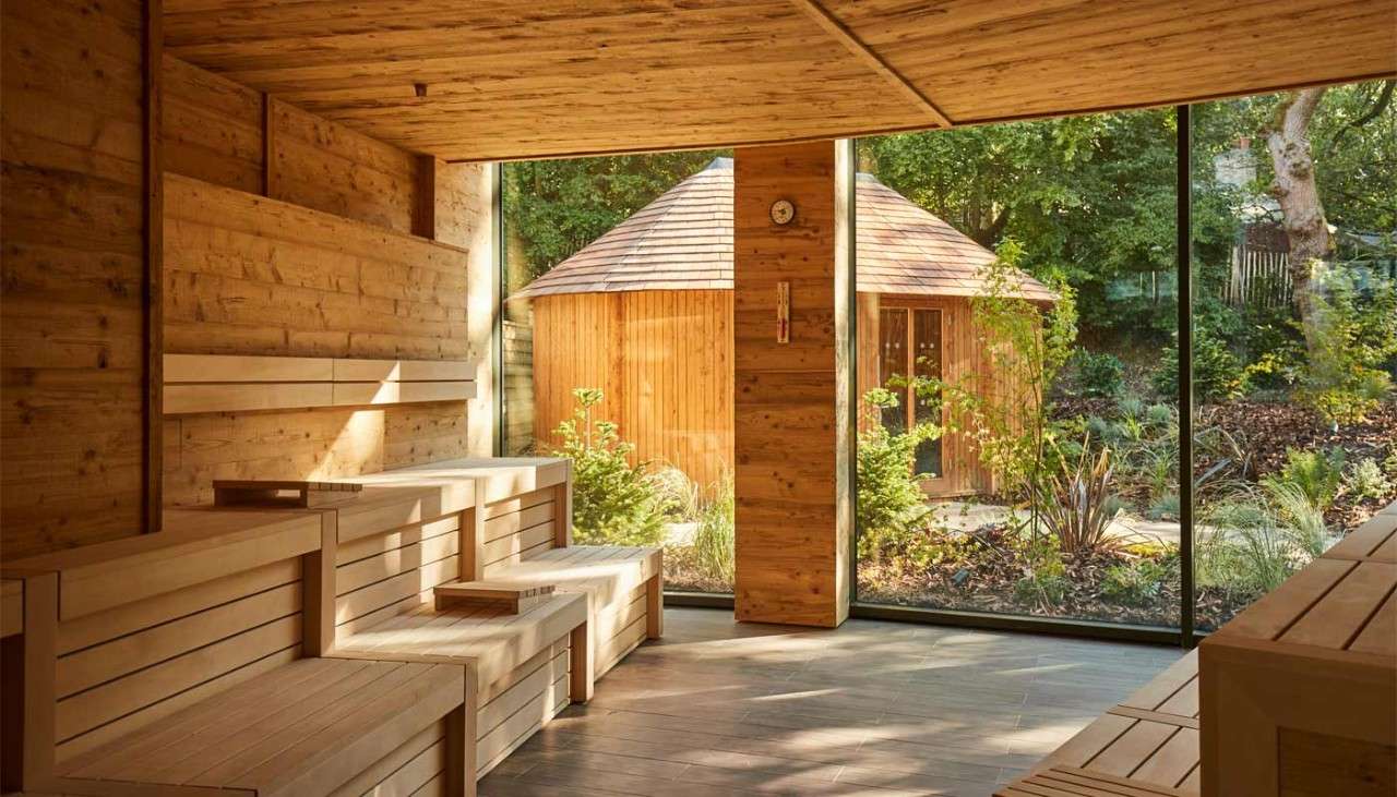 Inside a wooden sauna looking out to a forest garden where a Scandinavian Snug sits.