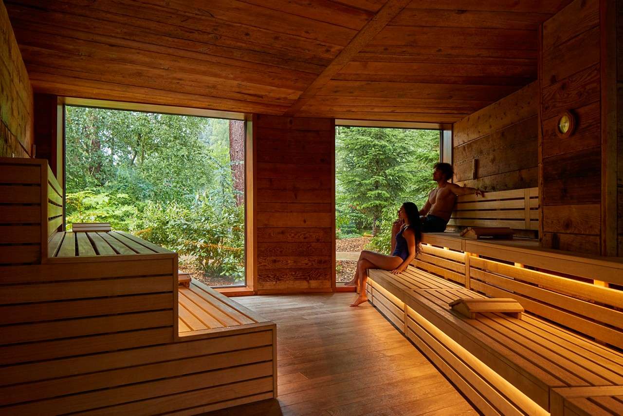 Inside a wooden sauna looking out to a forest garden where a Scandinavian Snug sits.