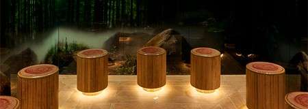 Log stools positioned in an arch in a room decorated with images of the forest.