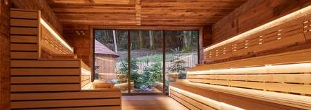 Inside of wooden sauna looking out to a forest garden.