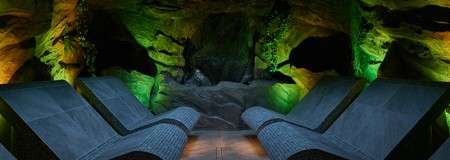 Inside a forest cavern with contoured seating.