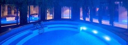 Circular outdoor pool surrounded by hanging plants.
