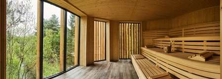 Inside a wooden sauna with a view out to the treetops.