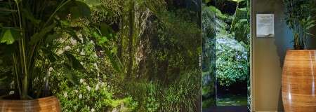 Wall decorated with images of forest trees with a door leading to a waterfall shower.