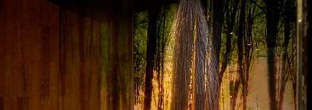 Spraying water in front of the silhouette of tree branches. 