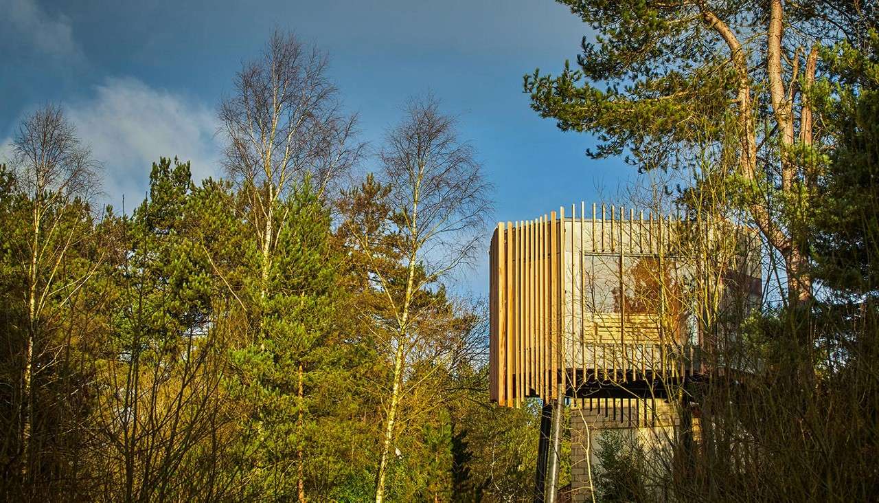 Treetop Sauna raised amongst the trees.