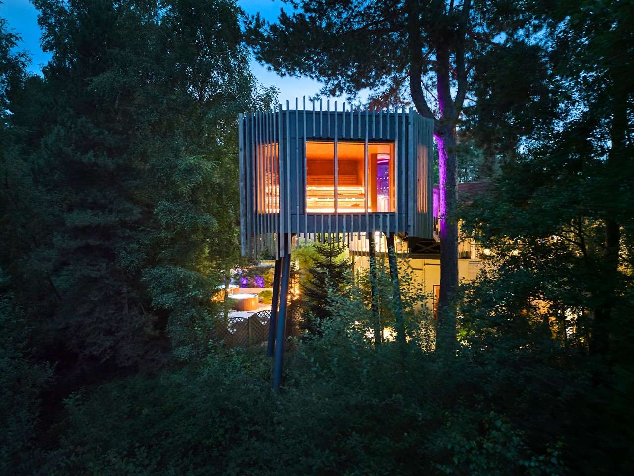 Treetop Sauna raised amongst the trees.
