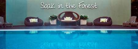 Outdoor pool with surrounding decking where comfortable egg chairs are placed in front of a sign that reads 'Soak in the Forest'.