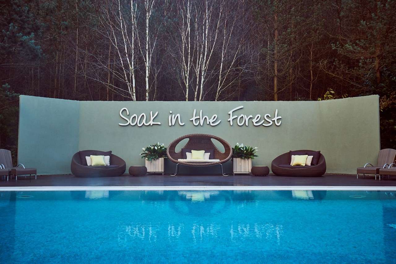 Outdoor pool surrounded by the forest.