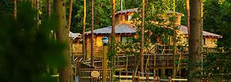 Wooden treehouse rests elevated on stilts, connected by railings and platforms, surrounded by tall pine trunks. Sunlight illuminates the structure within a dense green forest, with fences and pathways below.
