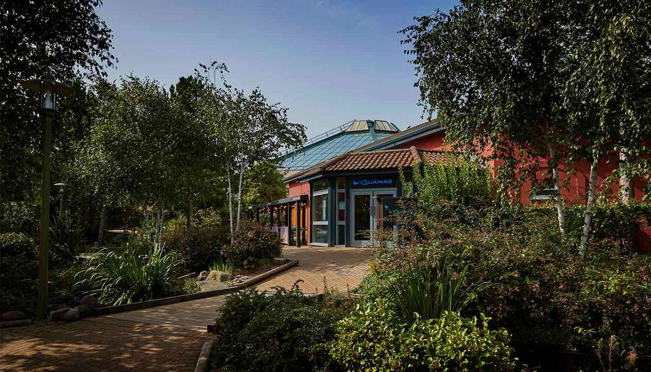 Restaurant entrance displays sign: Las Iguanas. Stands quietly amid lush landscaped garden; brick pathway curves past trees and shrubs under a clear sky.