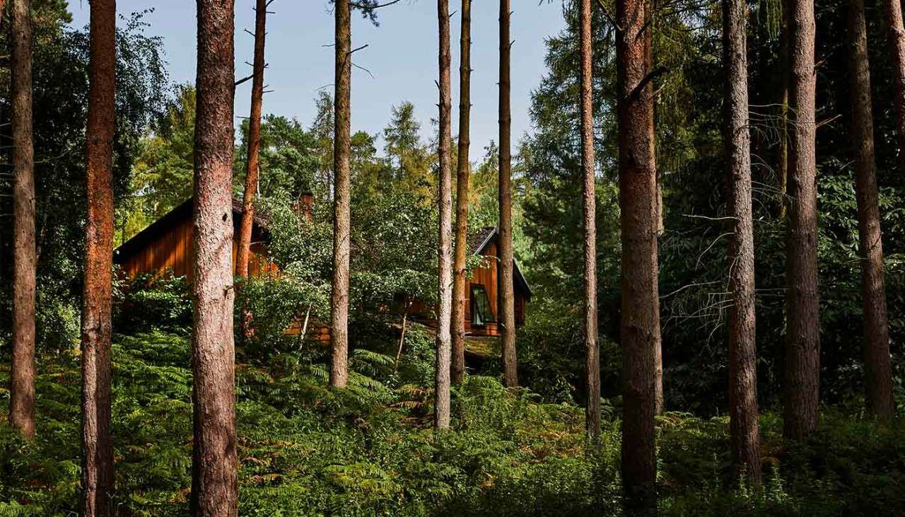 Lodge in the forest.