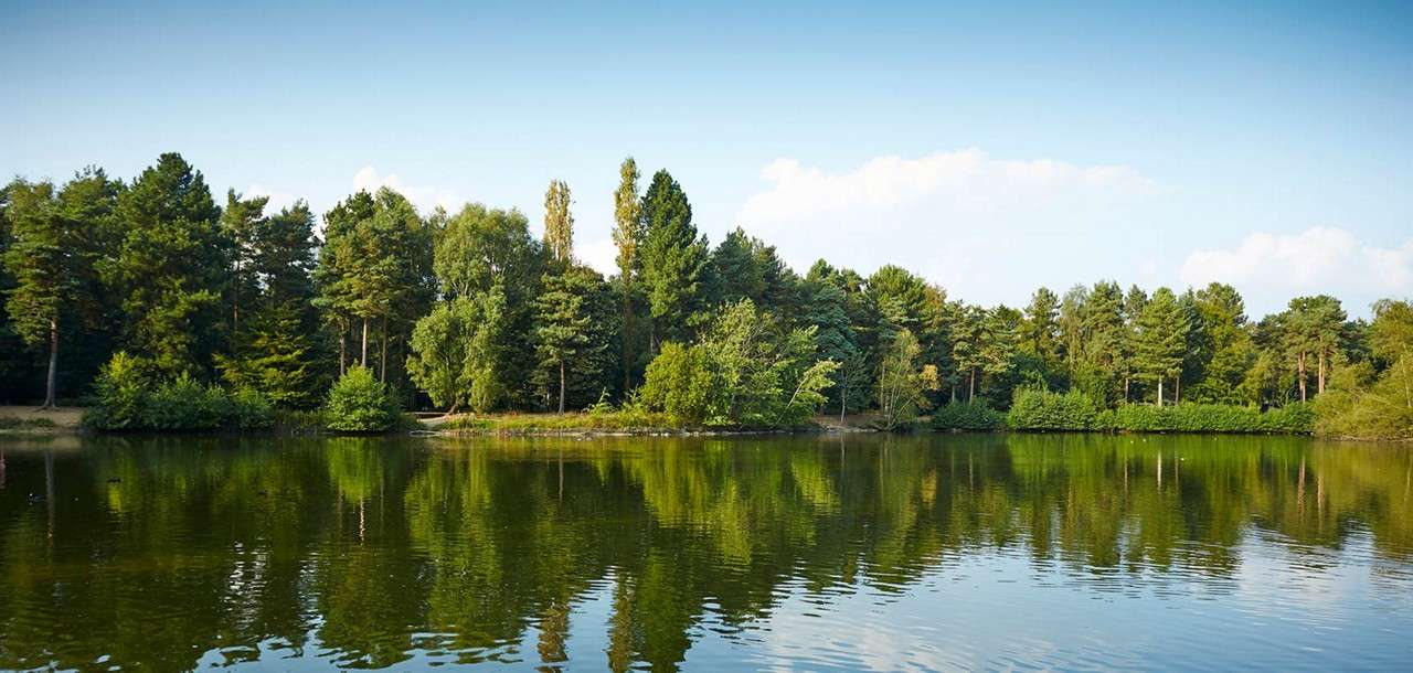 Lake water reflects dense green trees, gently rippling, in a calm daytime forest setting under a clear blue sky with sparse clouds along the horizon.