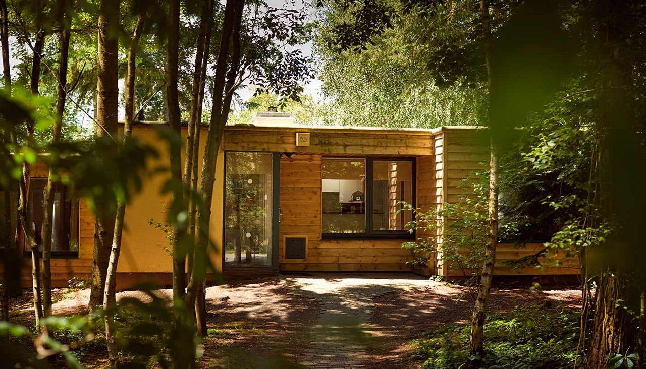 Wooden cabin stands among tall trees, catching dappled sunlight; large windows and a glass door face a short brick path, with surrounding undergrowth and shadows suggesting a quiet forest setting.