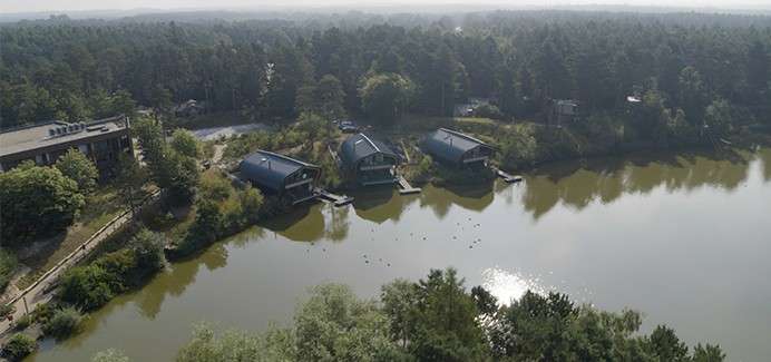 Lakeside cabins sit on short docks, facing calm water with scattered birds; sunlight glints off the lake. Dense pine forest surrounds the shore, with a lodge and driveway nearby.