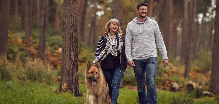 Two adults walk hand-in-hand while a large dog trots beside them, on a grassy forest path surrounded by tall trees, ferns, and soft autumn light.