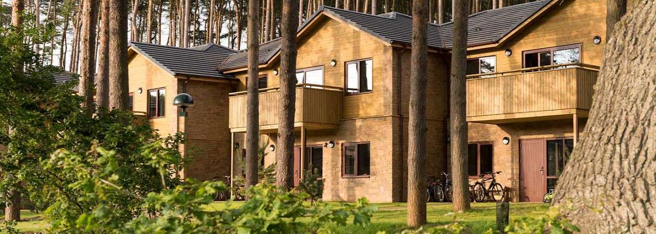 Lodges in the forest surrounded by trees