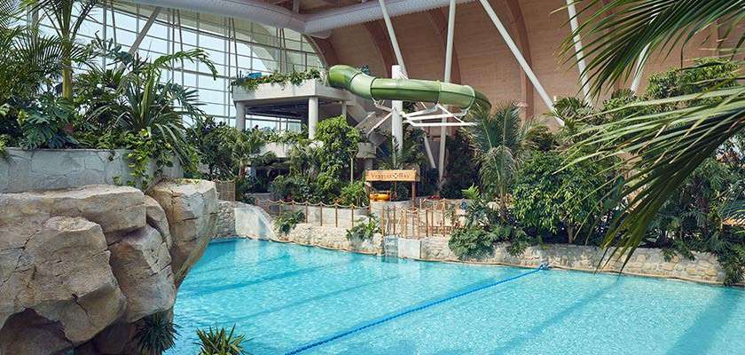 Indoor swimming pool sits calm, while a green enclosed waterslide curves overhead; tropical plants, rock formations, and tall glass windows create a lush, sunlit atrium around the aquatic area.