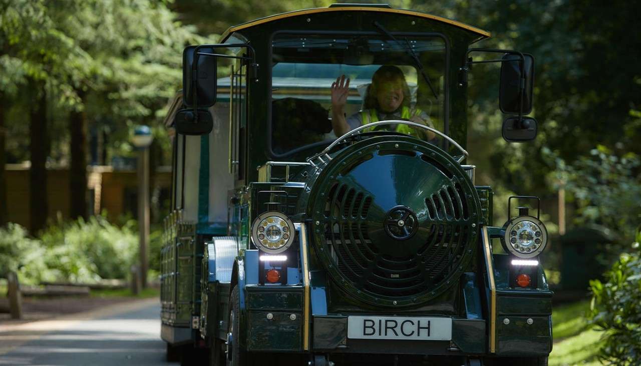 The land train at Longleat Forest, a train that can help transport guests around the village 