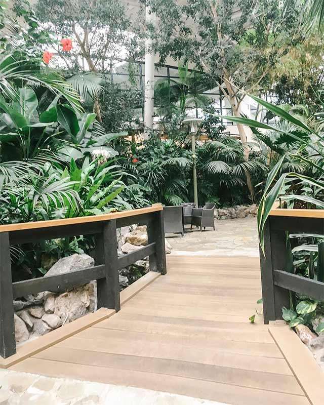 Wooden footbridge leads toward a stone patio with wicker chairs, surrounded by lush tropical plants. Skylit indoor conservatory setting includes palms, rocks, and a lamppost beneath tall trees and glass structure.