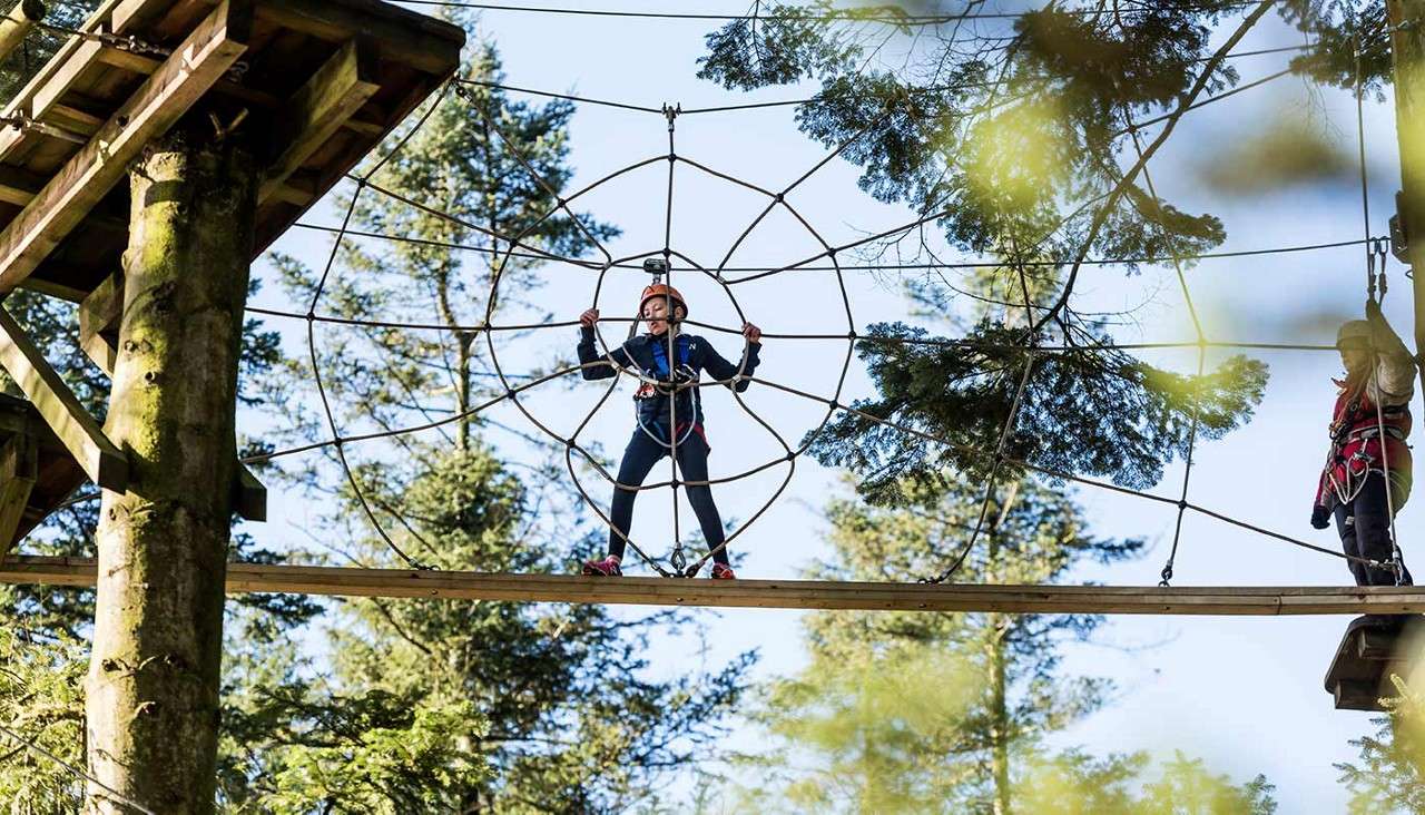 Harnessed climber grips a spiderweb-shaped rope net while balancing on a narrow wooden beam; another harnessed person waits on a platform; surrounding evergreen trees indicate a treetop adventure course.