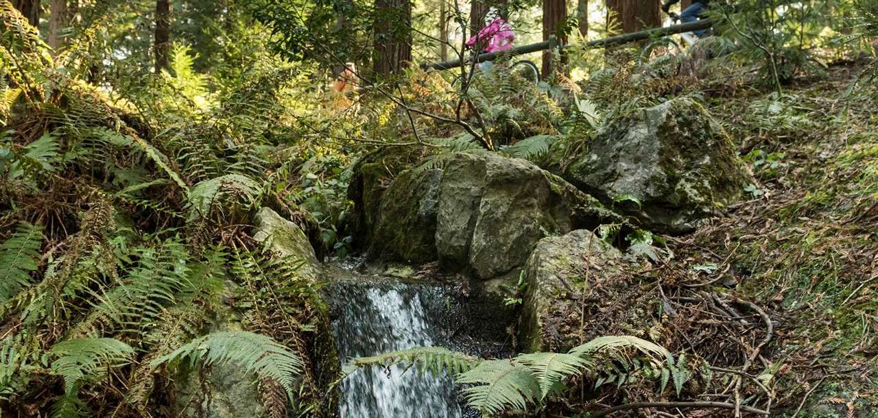 Waterfall in forest 