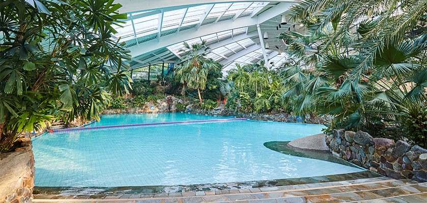 Swimming pool glistens under a high glass roof, bordered by stone edges and dense tropical plants; curved entry steps lead in, creating a resort-like indoor oasis.
