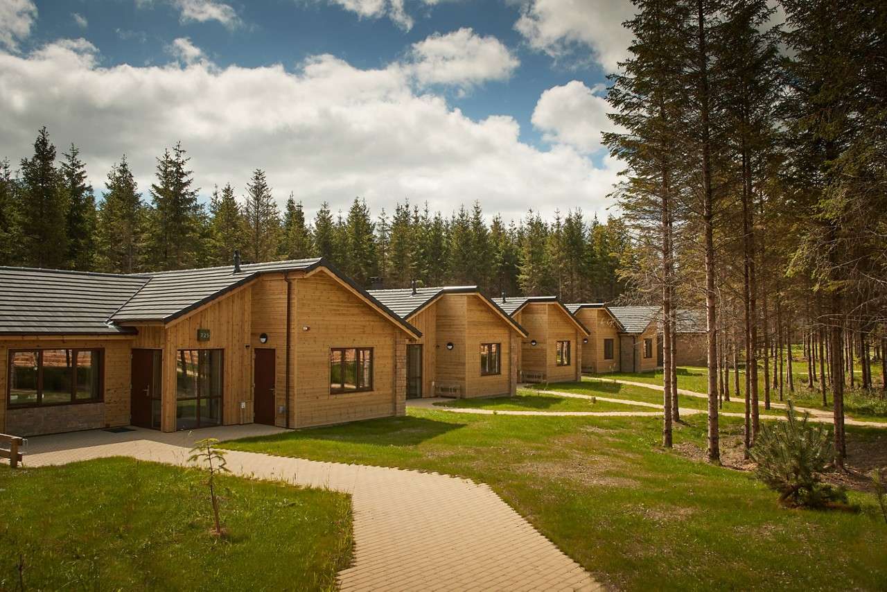 Woodland lodge IRE 