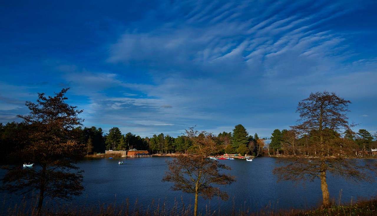 Sherwood Forest lake.