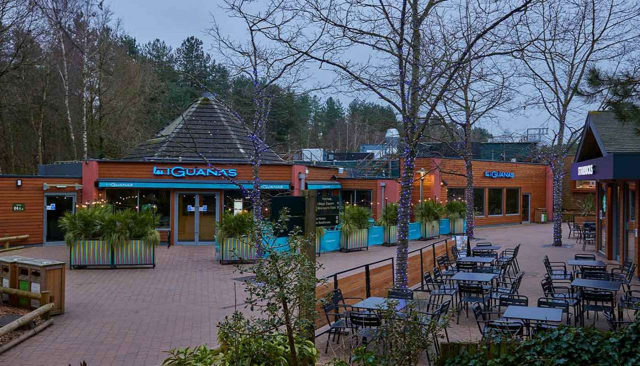 Outdoor café tables sit empty; trees wrapped with string lights line a plaza between wooden storefronts near woods. Text: “las IGUANAS,” “las IGUANAS,” “STARBUCKS.”