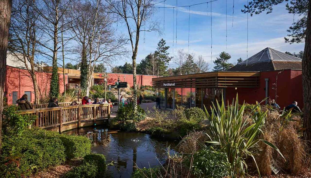 People lean on a wooden footbridge, watching water below, while others enter a modern building labeled ParcMarket, set within landscaped gardens, trees, and a small pond in bright daylight.