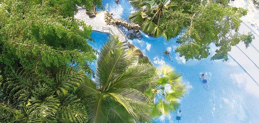 Subtropical Swimming Paradise